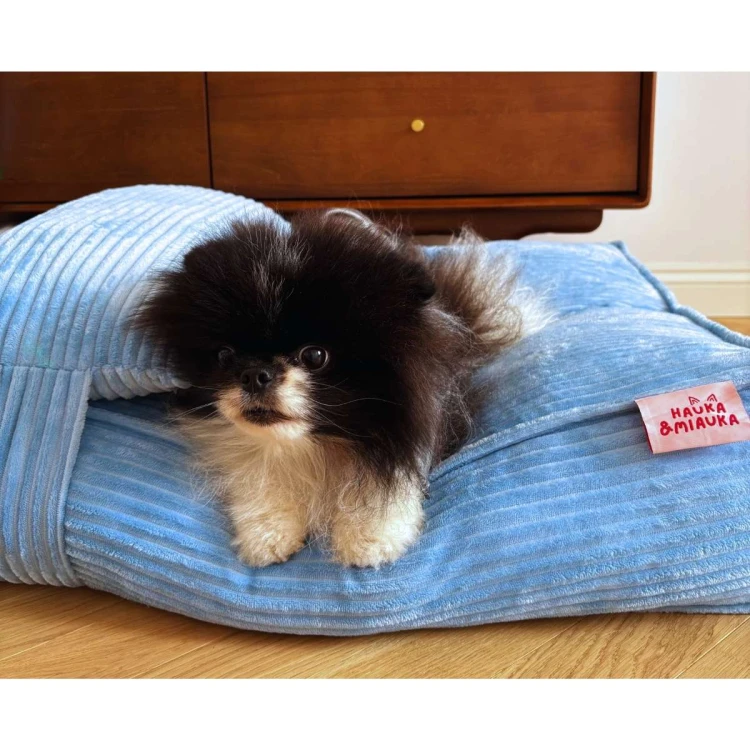 pomeranian-legowisko-dla-psa-niebieskie.jpg